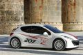 Peugeot 207 RCup